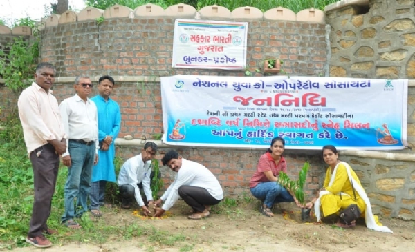 tree plantation program