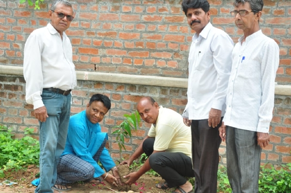 tree plantation program